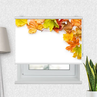 Klemmfix Rollo Herbstlaub | Motiv-Klemmrollo