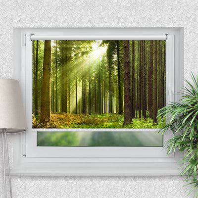 Rollo Motiv Sonnenstrahlen im Wald Panorama - ohne bohren - Klemmrollo bis 150 cm Breite - Klemmfix mit Fotodruck - blickdicht - La-Melle