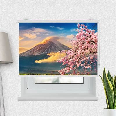 Klemmrollo Fuji im Frühling mit Kirschblüten