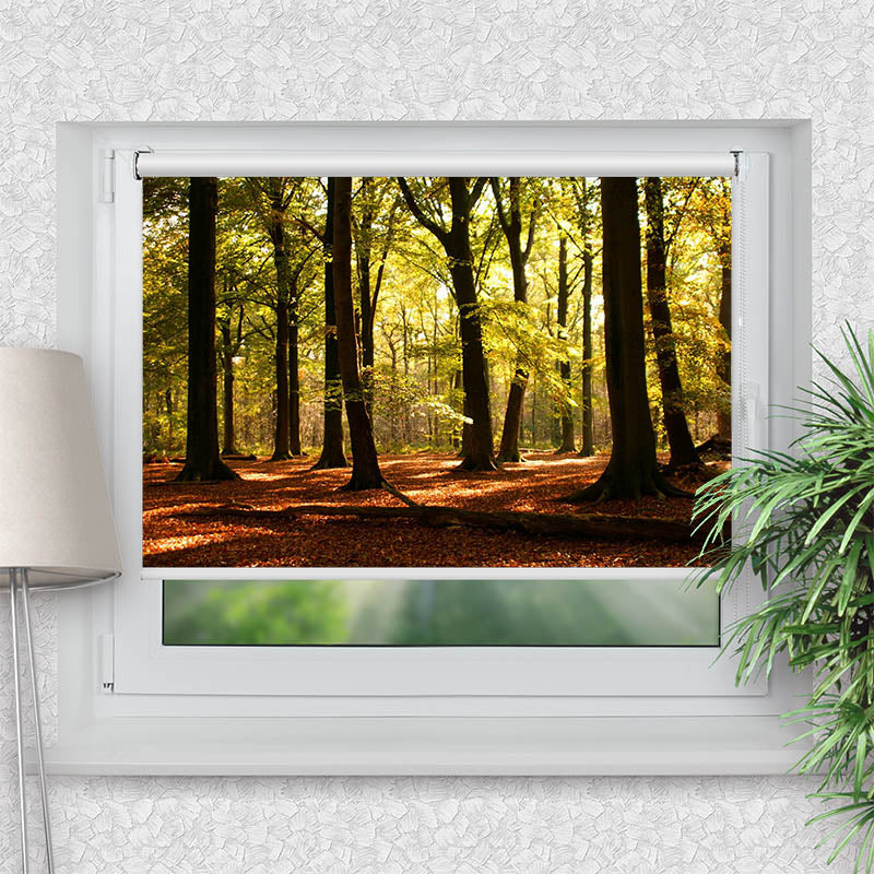 Klemmfix Rollo Wald Sonnenstrahlen