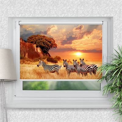 Klemmfix Rollo Zebras in Afrikas Savanne