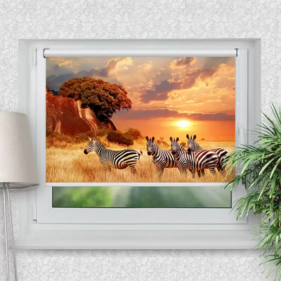 Klemmrollo Zebras In Afrikas Savanne