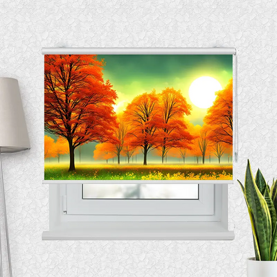 Klemmfix Rollo Herbstwald Sonnenschein | Motiv-Klemmrollo