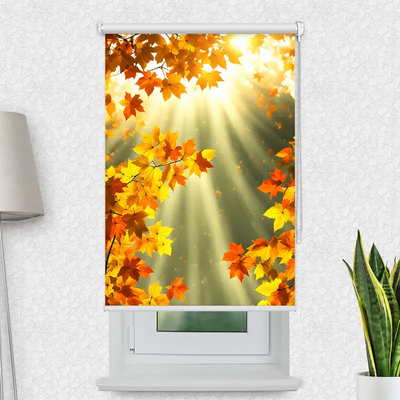 Klemmfix Rollo Herbstblaetter Sonne | Motiv-Klemmrollo