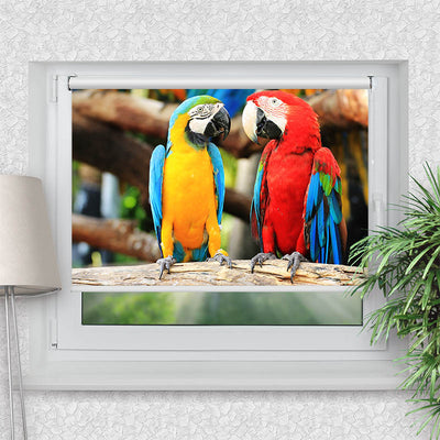 Rollo Motiv Papageien - ohne bohren - Klemmrollo bis 150 cm Breite - Klemmfix mit Fotodruck - blickdicht - La-Melle