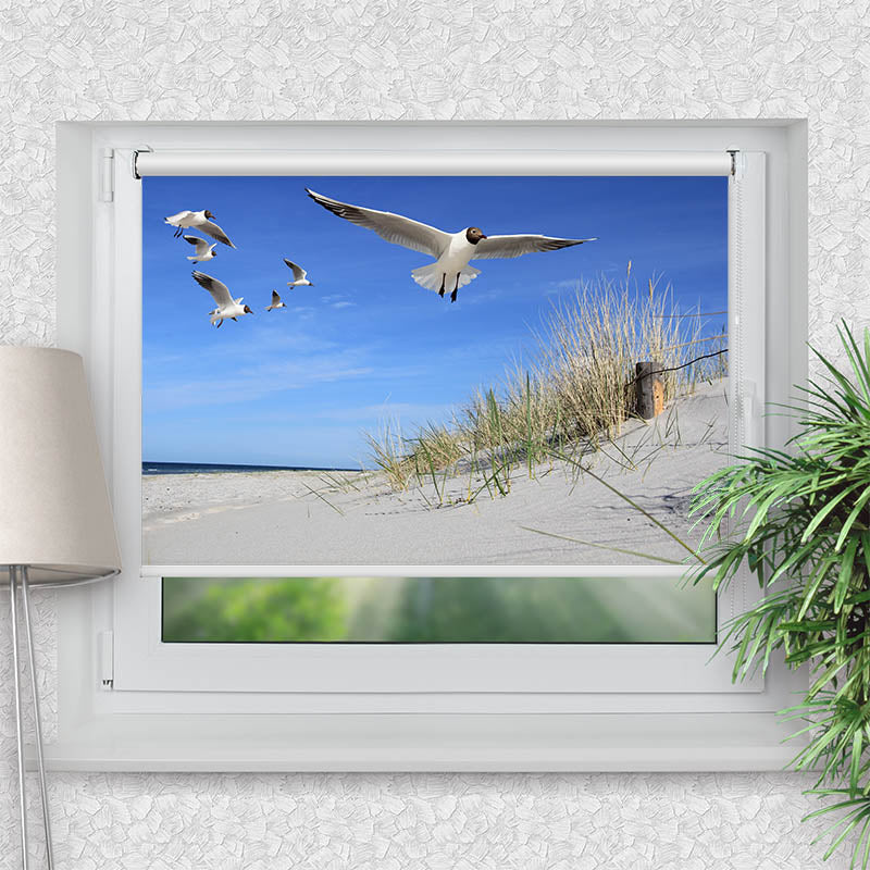 Rollo Motiv "Moewen am Strand" - ohne bohren - Klemmrollo bis 150 cm Breite - Klemmfix mit Fotodruck - blickdicht - La-Melle