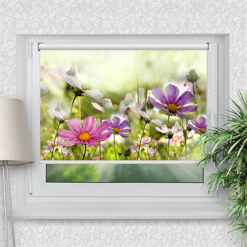 Klemmfix Rollo Blumen Bluehen auf Wiese