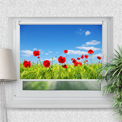 Klemmfix Rollo Mohnblumen Wiese