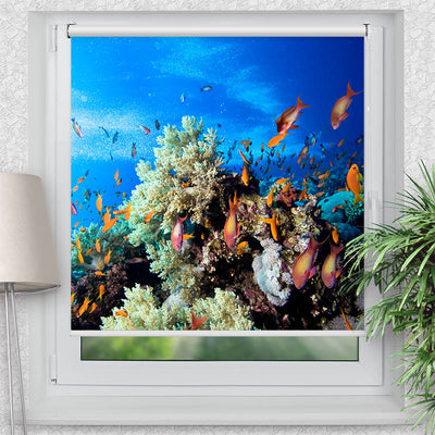 Rollo Motiv Korallen und Fische - ohne bohren - Klemmrollo bis 150 cm Breite - Klemmfix mit Fotodruck - blickdicht - La-Melle
