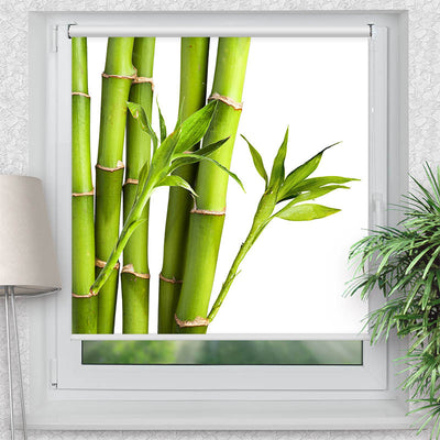 Rollo Motiv Bambus - ohne bohren - Klemmrollo bis 150 cm Breite - Klemmfix mit Fotodruck - blickdicht - La-Melle
