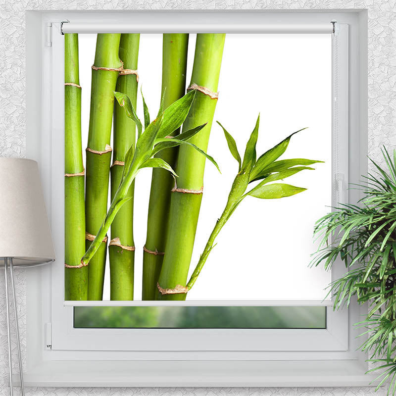 Rollo Motiv "Bambus" - ohne bohren - Klemmrollo bis 150 cm Breite - Klemmfix mit Fotodruck - blickdicht - La-Melle