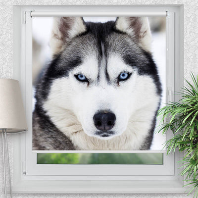 Rollo Motiv Husky - ohne bohren - Klemmrollo bis 150 cm Breite - Klemmfix mit Fotodruck - blickdicht - La-Melle