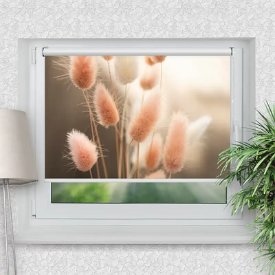 Klemmrollo Flauschiges Hasenschwanzgras