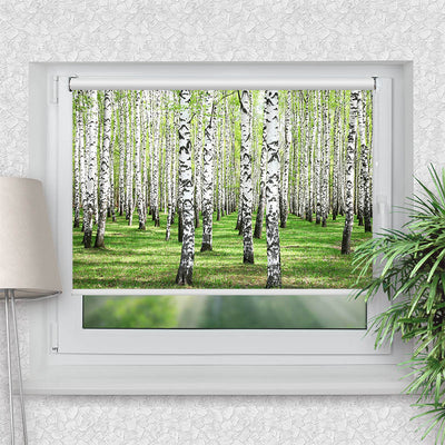 Klemmfix Rollo Birkenwald