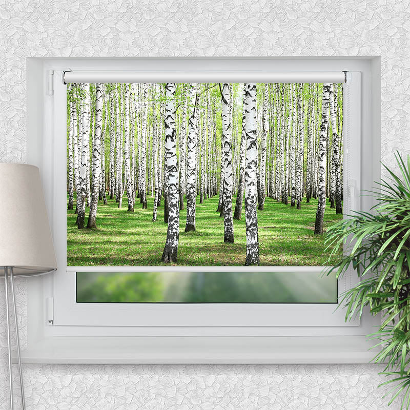 Klemmfix Rollo Birkenwald