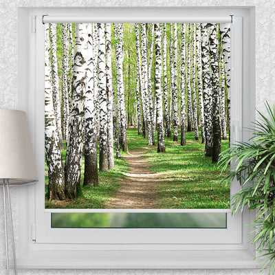 Klemmfix Rollo Birkenwald Weg