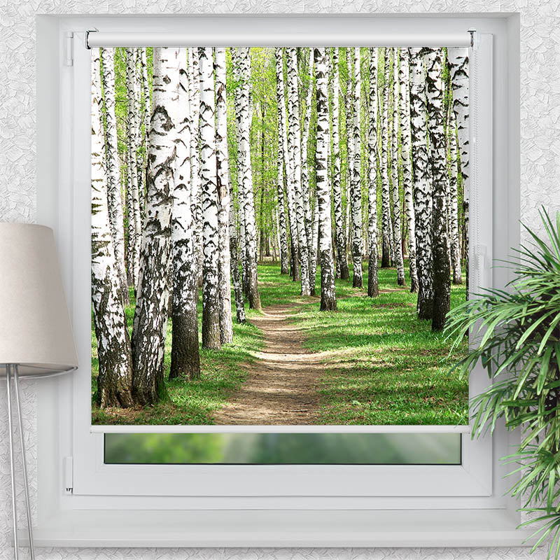 Klemmfix Rollo Birkenwald Weg