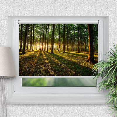 Rollo Motiv Sonnenstrahlen im Wald - ohne bohren - Klemmrollo bis 150 cm Breite - Klemmfix mit Fotodruck - blickdicht - La-Melle
