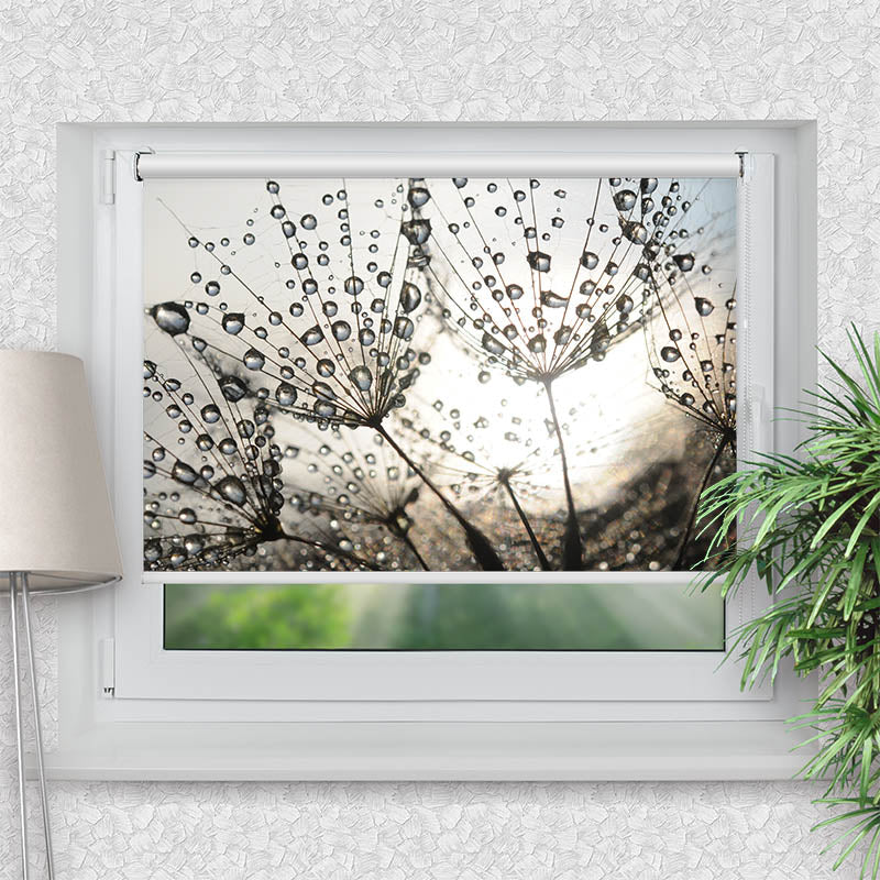 Klemmfix Rollo Pusteblume Tautropfen