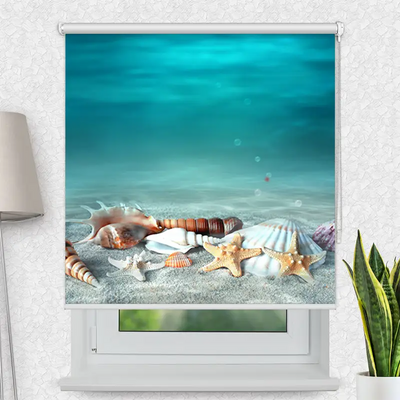 Klemmrollo Muschel Und Seestern Am Strand