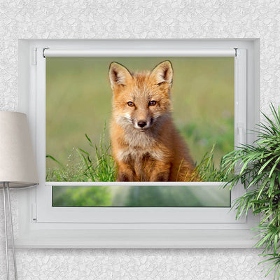 Rollo Motiv Fuchs - ohne bohren - Klemmrollo bis 150 cm Breite - Klemmfix mit Fotodruck - blickdicht - La-Melle