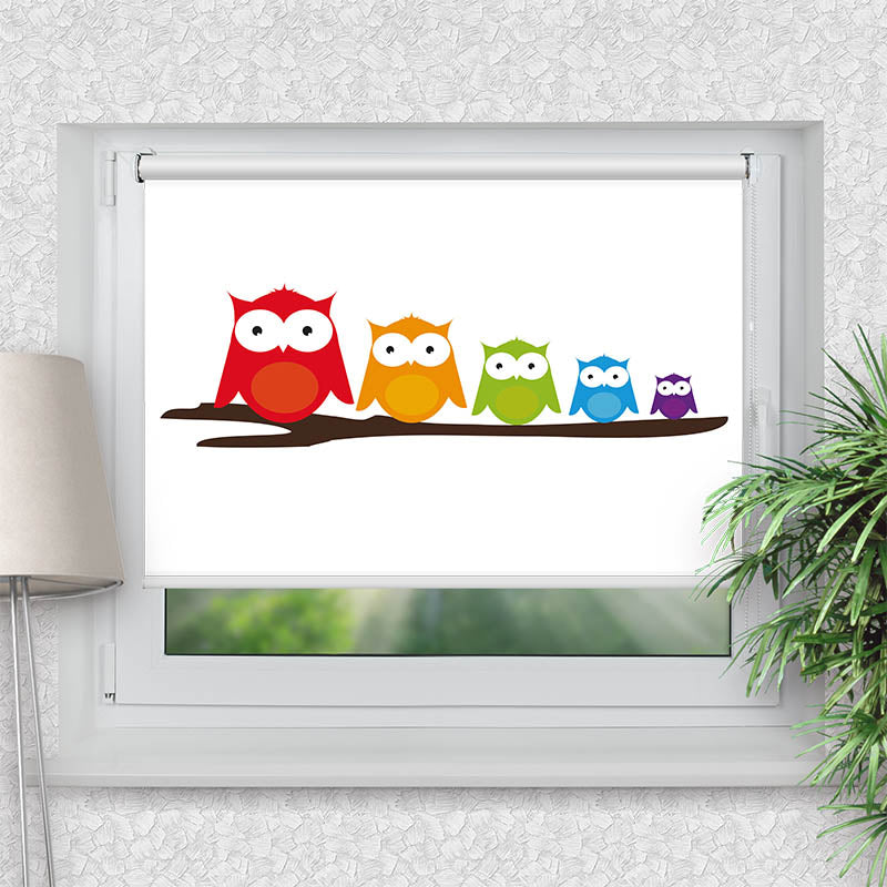 Klemmfix Rollo Bunte Eulen