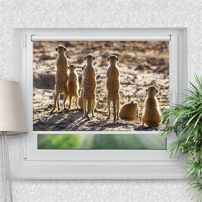 Rollo Motiv Erdmaennchen - ohne bohren - Klemmrollo bis 150 cm Breite - Klemmfix mit Fotodruck - blickdicht - La-Melle