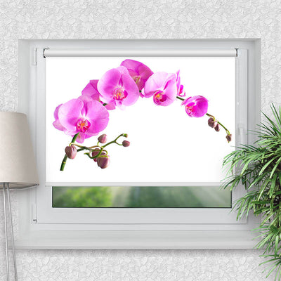Rollo Motiv Orchidee - ohne bohren - Klemmrollo bis 150 cm Breite - Klemmfix mit Fotodruck - blickdicht - La-Melle