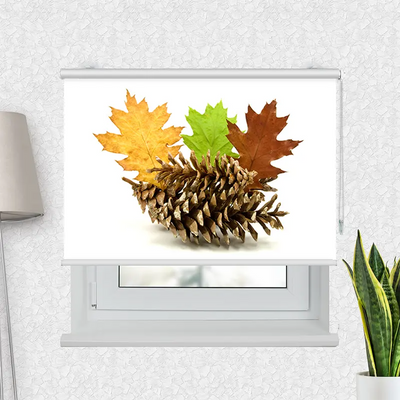 Klemmfix Rollo Herbstdekoration | Motiv-Klemmrollo