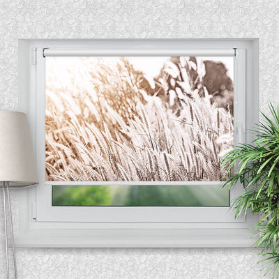 Klemmfix Rollo Pampas Gras