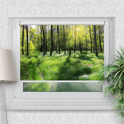Rollo Motiv Wald Panorama - ohne bohren - Klemmrollo bis 150 cm Breite - Klemmfix mit Fotodruck - blickdicht - La-Melle