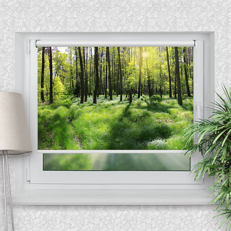 Rollo Motiv "Wald Panorama" - ohne bohren - Klemmrollo bis 150 cm Breite - Klemmfix mit Fotodruck - blickdicht - La-Melle