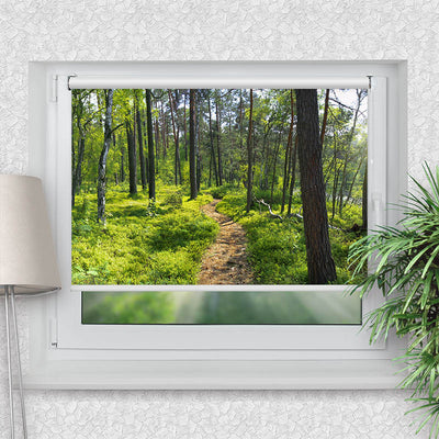 Rollo Motiv Wald Sonnenstrahlen Panorama - ohne bohren - Klemmrollo bis 150 cm Breite - Klemmfix mit Fotodruck - blickdicht - La-Melle
