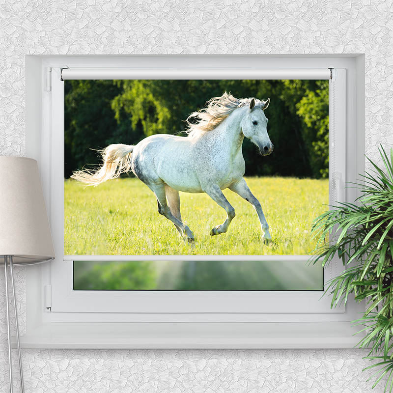 Rollo Motiv "Weisses Pferd im Gras" - ohne bohren - Klemmrollo bis 150 cm Breite - Klemmfix mit Fotodruck - blickdicht - La-Melle