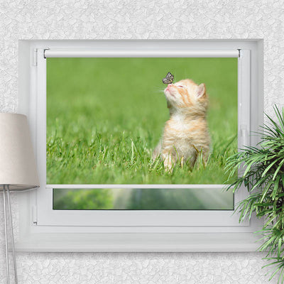 Klemmfix Rollo Kitten und Schmetterling