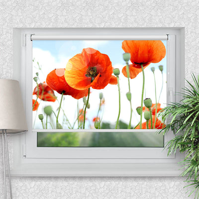 Rollo Motiv Mohnblumen Panorama - ohne bohren - Klemmrollo bis 150 cm Breite - Klemmfix mit Fotodruck - blickdicht - La-Melle