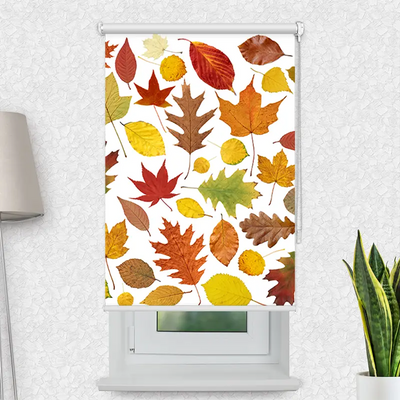 Klemmfix Rollo Herbstlaub | Motiv-Klemmrollo