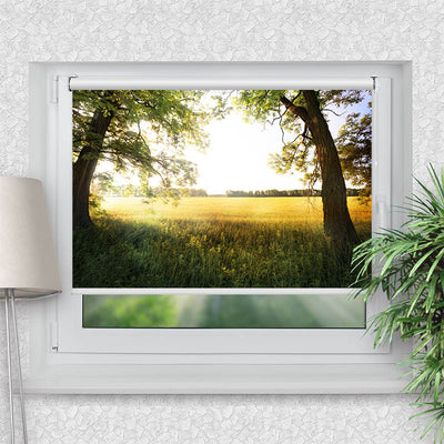 Rollo Motiv Feld mit Sonnenlicht - ohne bohren - Klemmrollo bis 150 cm Breite - Klemmfix mit Fotodruck - blickdicht - La-Melle