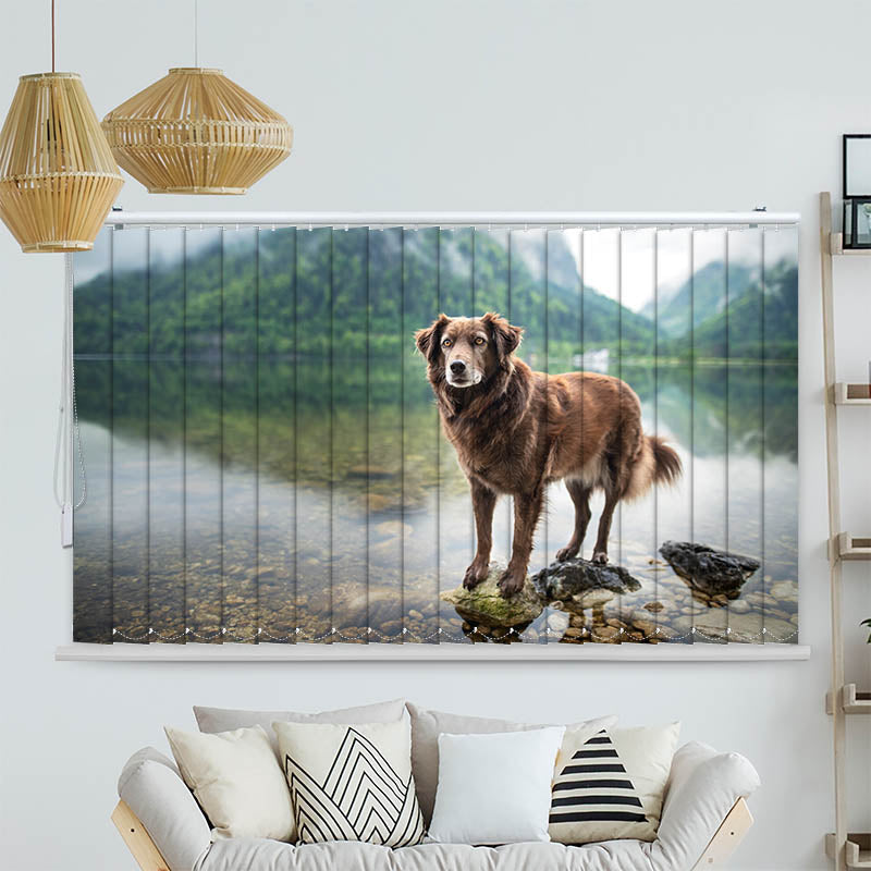Lamellenvorhang Motiv Hund am Bergsee