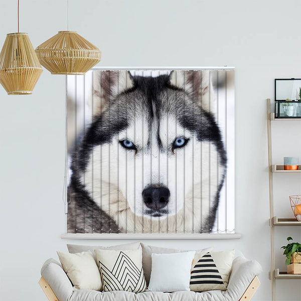 Lamellenvorhang Motiv "Husky"