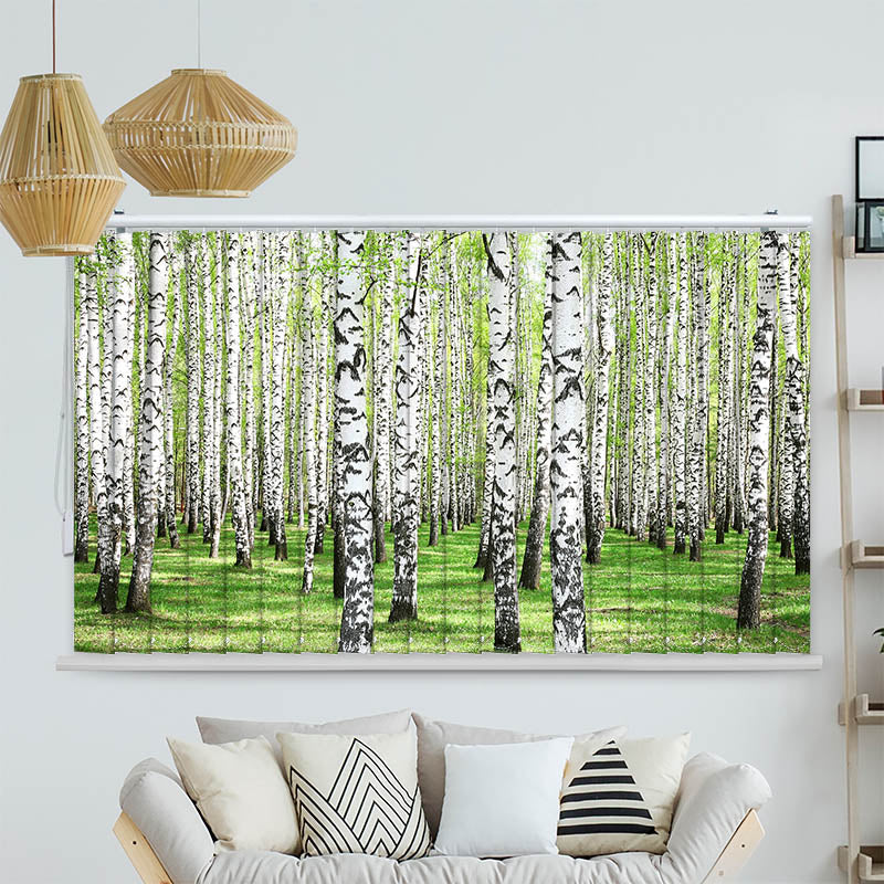 Lamellenvorhang Motiv Birkenwald Weg