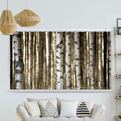 Lamellenvorhang Motiv Birkenstamm