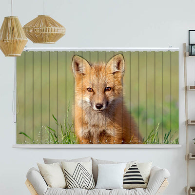 Lamellenvorhang Motiv Eulen