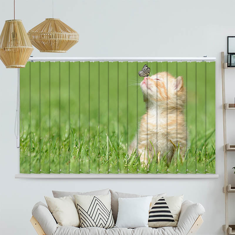 Lamellenvorhang Motiv Kitten und Schmetterling