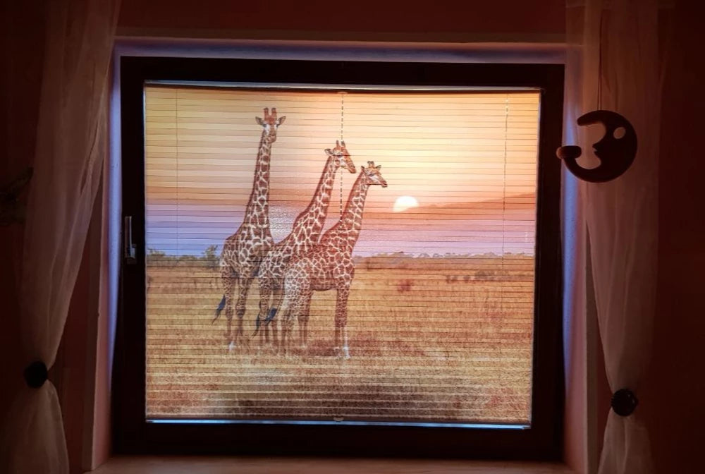 drei Giraffen in der Savanne in Afrika bei Sonnenuntergang gedruckt als Bild auf einem Foto-Plissee
