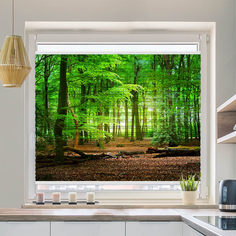 Plissee Motiv Wald mit Eichenlaub