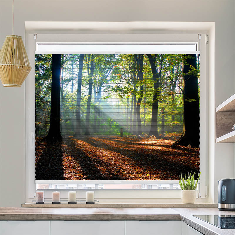Plissee Motiv Wald Laub Sonne