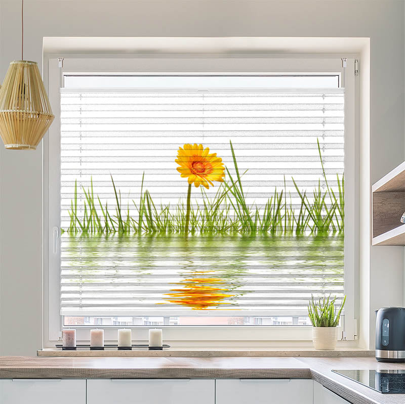 Plissee Motiv "Gras im Wasser"