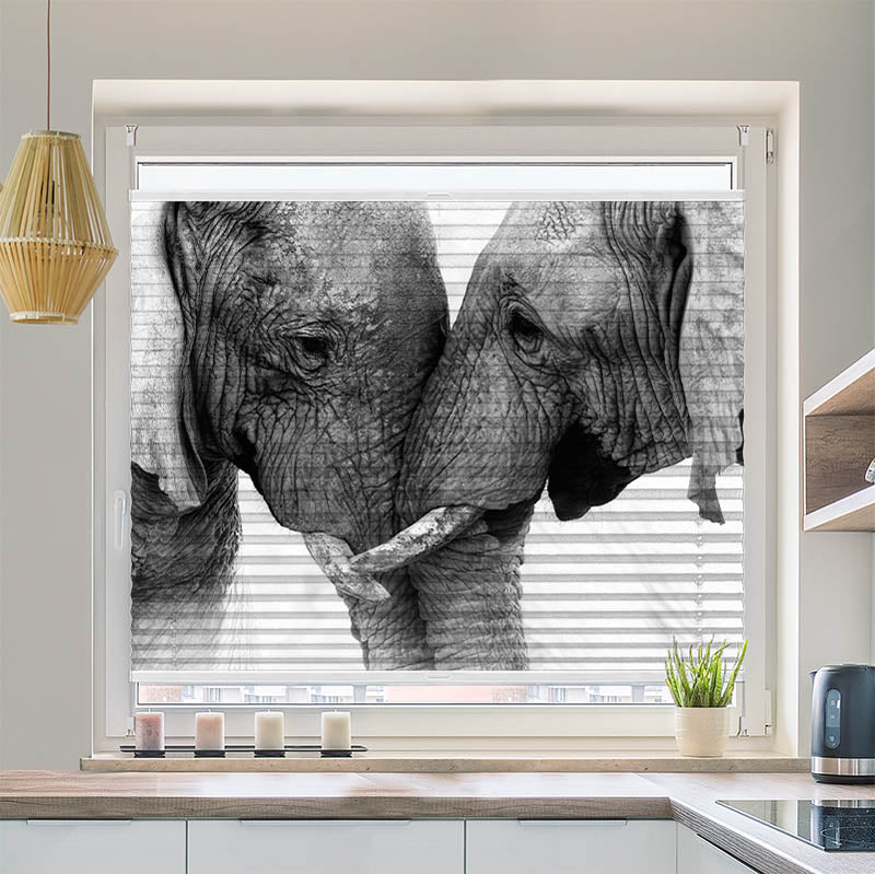 Plissee Motiv Afrika Lefanten