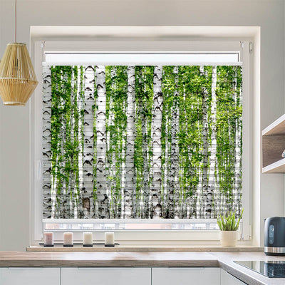 Plissee Motiv Birkenwald